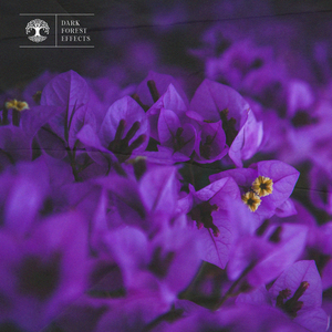 缅甸56分15钞原图高清
