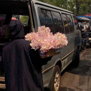 缅甸56分15钞原图高清
